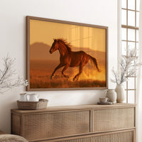 Chestnut Mustang at Golden Hour