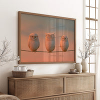 Bespectacled Owls on a Wire