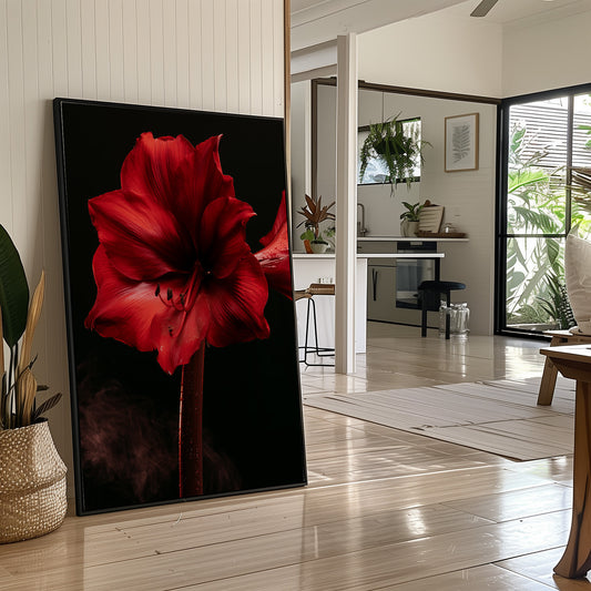 Amaryllis in Full Crimson Bloom