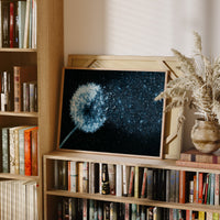 Dandelion Becomes Stardust