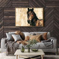 Bay Coat, Bold Strokes