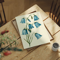 Bell Bottom Blues: A Bluebell Study
