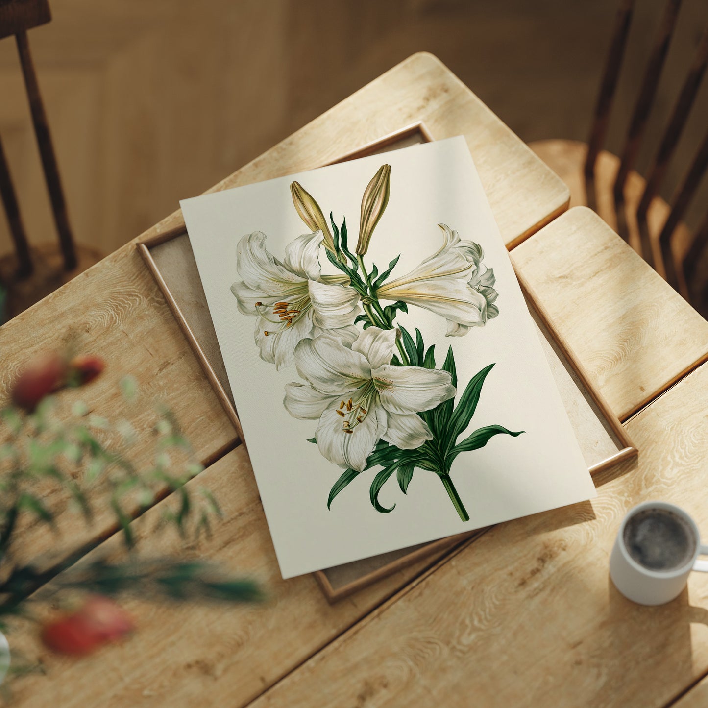 Trumpet of Spring: White Lily Study