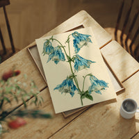 Nodding Blues: A Columbine Study
