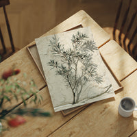 Olive Branch, Shadow on Plaster
