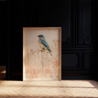Bluebird in the Dried Wildflowers