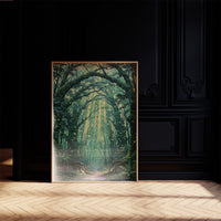Fireflies Down the Forest Path