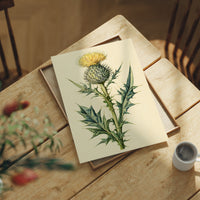 Thistle In Fine Botanical Detail