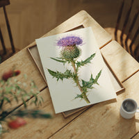Purple Thistle In Fine Detail