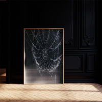 Web in the Dark