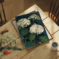 Hydrangeas After Dusk