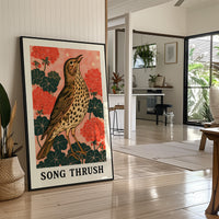 Song Thrush Among Geraniums