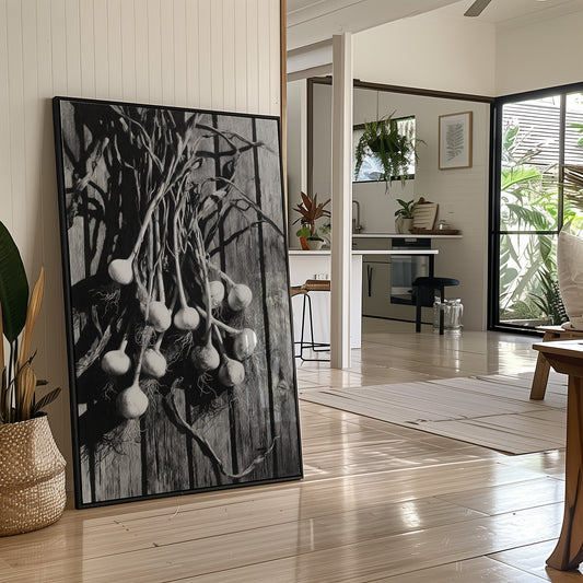 Garlic Hanging In Shadow