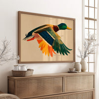 Mallard in Midair