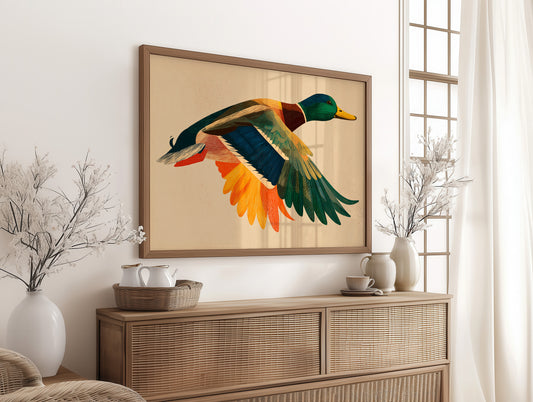 Mallard in Midair
