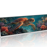 Drifting Through Coral Gardens