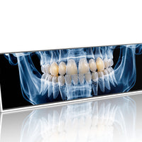 Dental X Ray Close Up