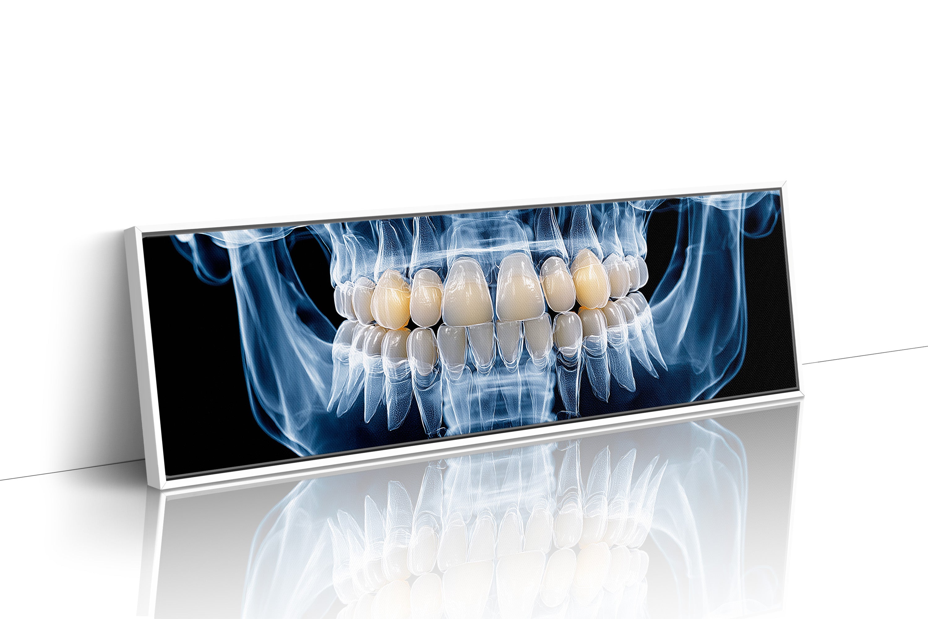 Dental X Ray Close Up