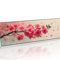 Cherry Blossoms In Soft Spring Light