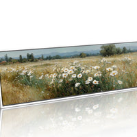 Wild Daisies Across Golden Meadow