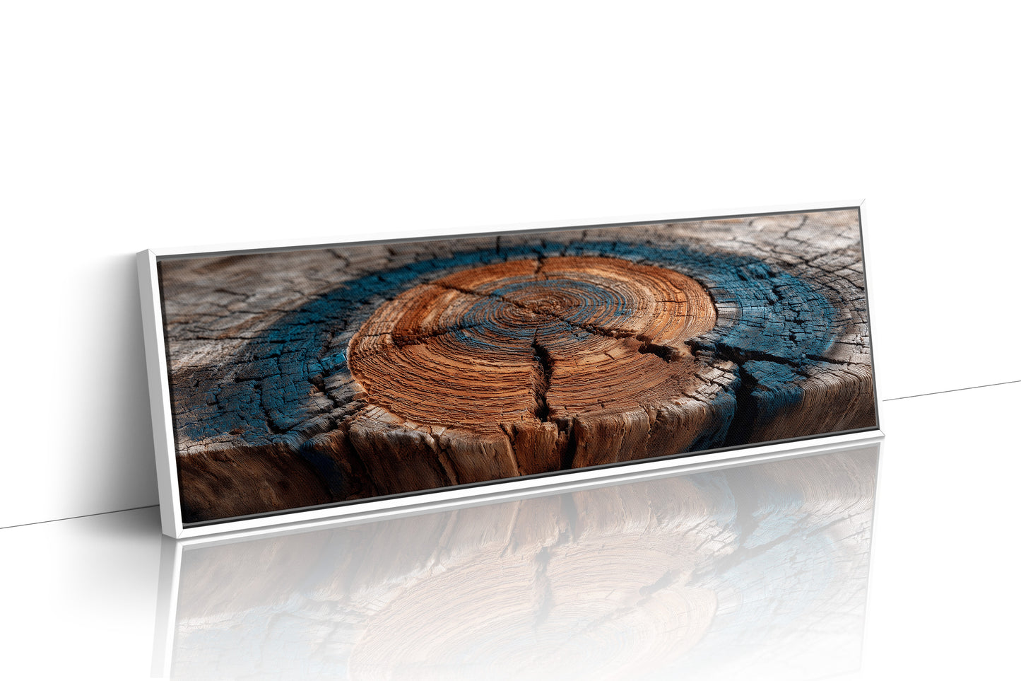 Ancient Tree Rings of Time