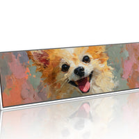 Joyful Pomeranian Smile
