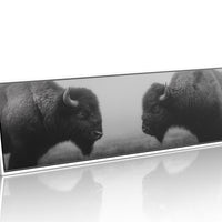Silent Strength Of The American Bison