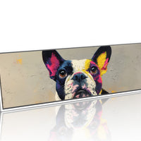 Color Burst Boston Terrier Portrait