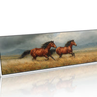 Stormbound Stallions