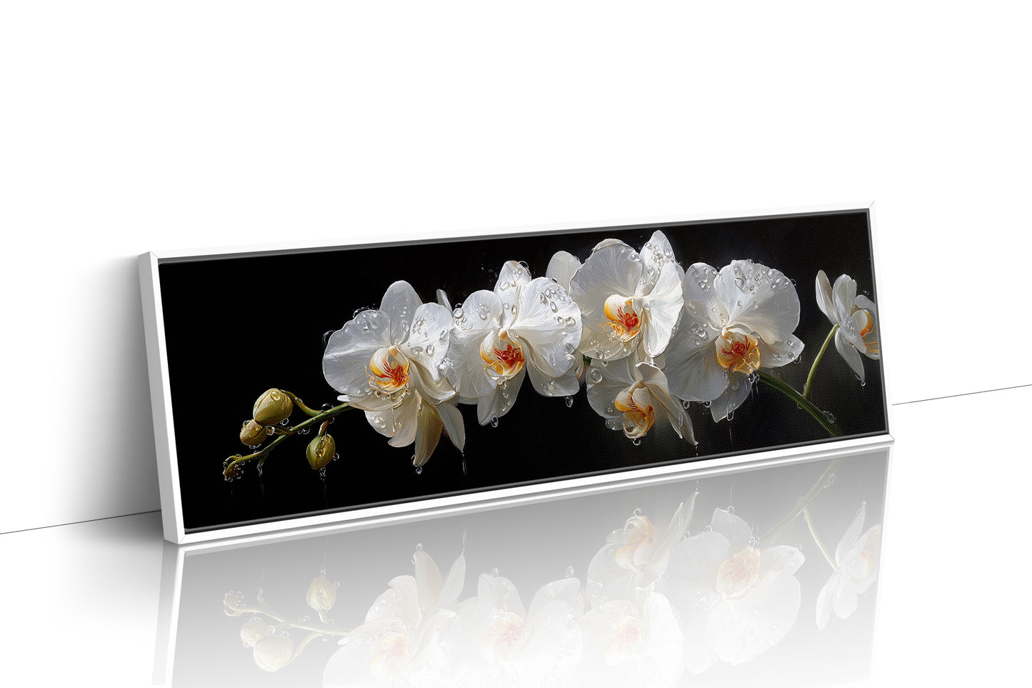 White Orchids In Midnight Bloom