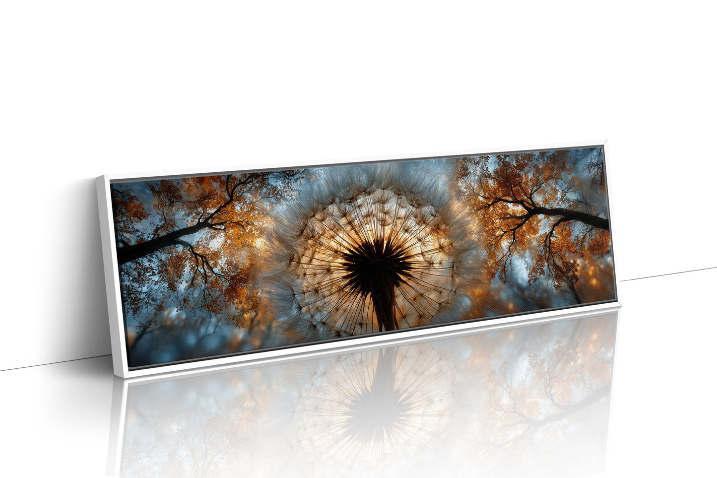 Dandelion Halo In Autumn Light