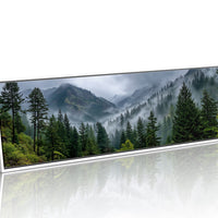 Misty Pines In Mountain Silence