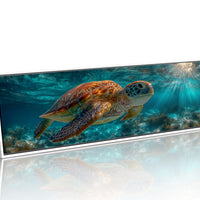 Sea Turtle Swimming In Sunlit Ocean