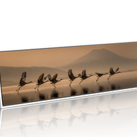 Cranes Rising Across Quiet Waters
