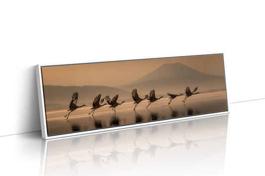 Cranes Rising Across Quiet Waters