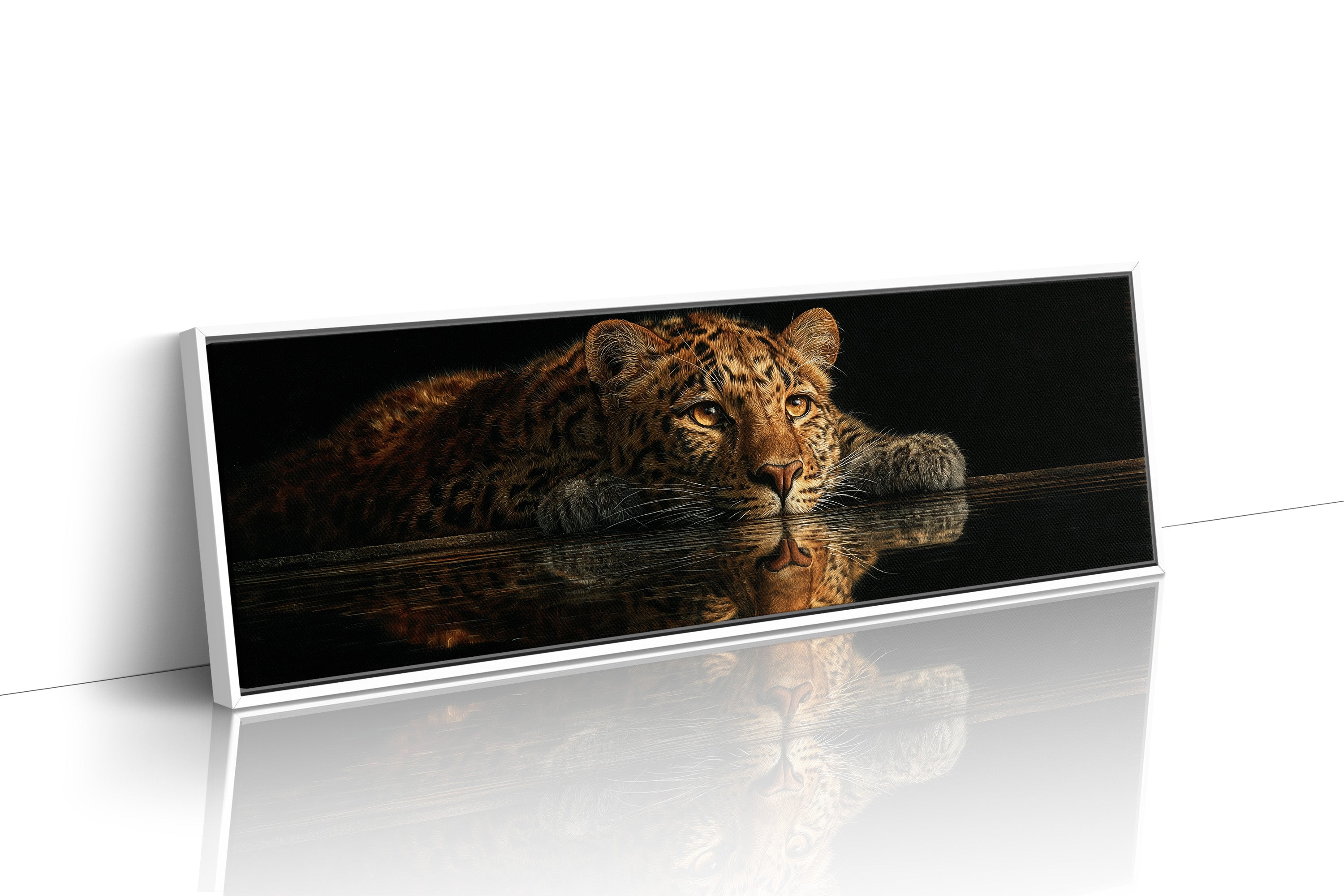 Resting Leopard Reflection