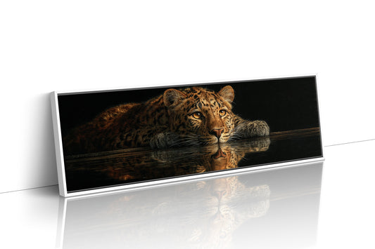 Resting Leopard Reflection
