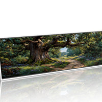 Ancient Oak Woodland Path