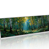 Sunlit Birch Forest