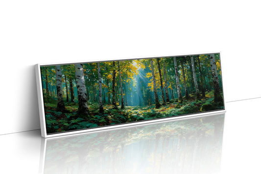 Sunlit Birch Forest