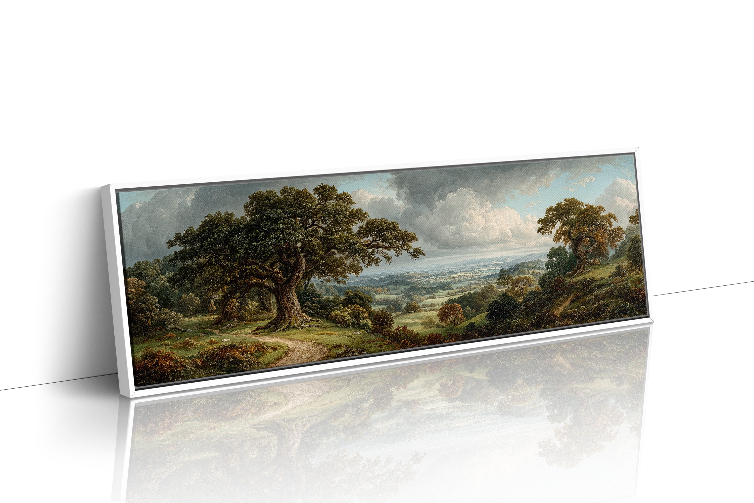 Ancient Oaks Over Rolling Valleys