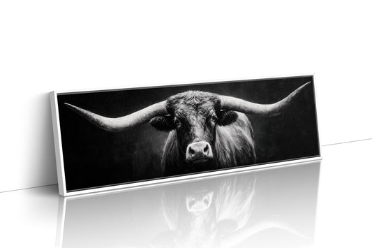 Black and White Longhorn Portrait on Dark Background