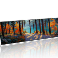 Autumn Forest Path Overlooking Turquoise Lake