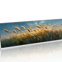 Where the Tall Grasses Sway