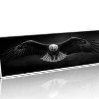 Wings Over the Dark Horizon
