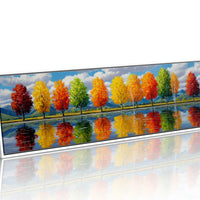 Rainbow Trees Along the Water