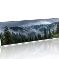 Mist Rolling Through the Evergreen Hills