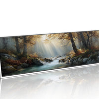 Sunbeams Over the Forest Stream