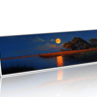 Moonrise Over the Quiet Marsh
