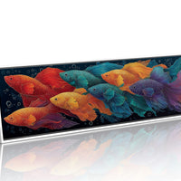 Parade of the Rainbow Bettas
